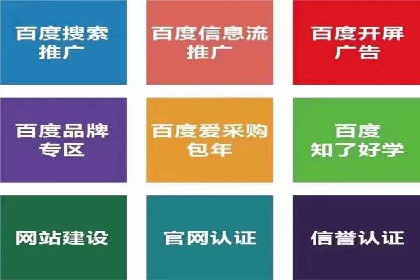 百度SEO推广成功案例：品牌知名度提升